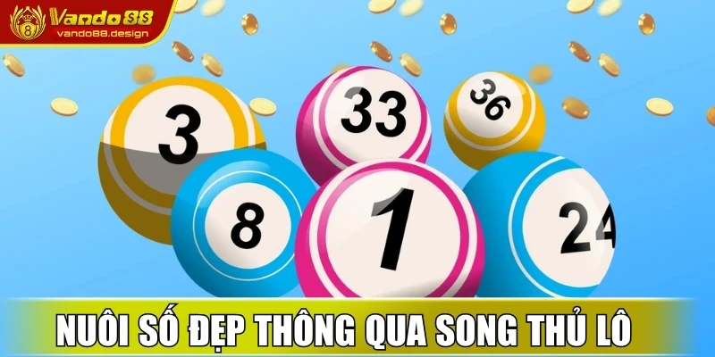 Khái niệm về cách nuôi lô khung 5 ngày cho newbie 