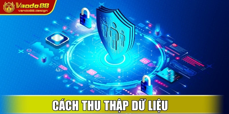 Cách thu thập dữ liệu